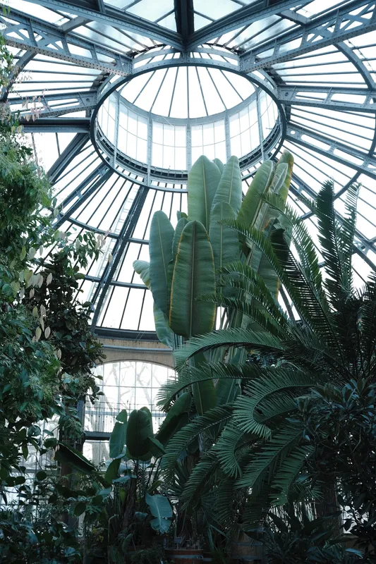 Hortus Botanicus Amsterdam