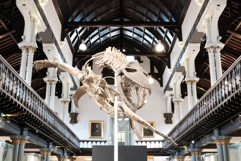 Hunterian Museum Glasgow